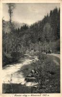 15 db régi történelmi magyar városképes lap Kárpátaljáról (Ungvár, Beregszász, Munkács, Nagyberezna,...