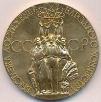 Szovjetunió ~1960-1970. "Népgazdasági Eredmények Kiállítása (VDNH)" aranyozott Br emlékére...