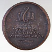 Madarassy Walter (1909-1994) DN "Budapesti Állatorvostudományi Egyetem" öntött Br emlékére...