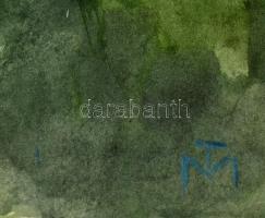 MT jelzéssel: Arc. Akvarell, papír, 33×24 cm