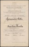 1912 Bécs, egyetemi nyilvános rendes tanári kinevezés másolata, latin nyelven, okmánybélyeggel, pecséttel, aláírásokkal, 34x21 cm