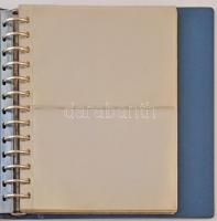 Gyűrűs bankjegytartó album, 29db kettes osztású berakólappal, használt, de megkímélt állapotban,