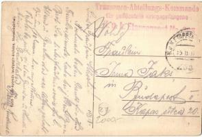 Marosvásárhely, Targu Mures; Tanácsház és Kultúrpalota / town hall, palace of culture + Transenen-Ab...