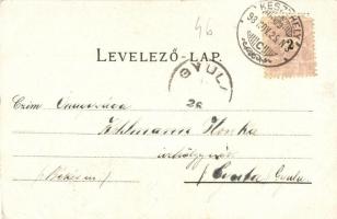 1898 Hévíz, hetesház, fürdő, kápolna, cursalon (gyógyterem). floral Art Nouveau litho (vágott / cut)