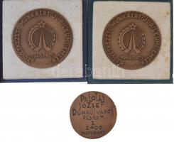 4db-os bronz emlékérem tétel (3xklf), közte 1955. "Felszabadulásunk 10 éves évfordulójára"...