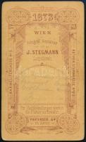 1873 A Wolfman család műtermi fotója, keményhátú otó J. Stegmann műterméből (Bécs), 10x6 cm