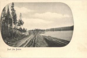 5 db RÉGI svéd városképes lap / 5 pre-1945 Swedish town-view postcards