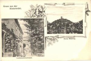 Hinterbrühl, Ruine Mödling, Lichtensteinstrasse / street view, castle ruins, Art Nouveau (fl)