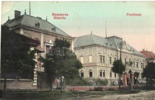 Beszterce, Bistritz, Bistrita; Forsthaus / erdészlak. F. Stolzenberg kiadása / foresters house (EK)