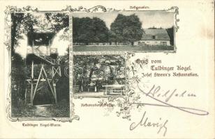 Tulbingerkogel, Tulbinger Kogel; Josef Strenns Restauration, Warte, Garten / look out tower, restaurant garden, Art Nouveau, floral