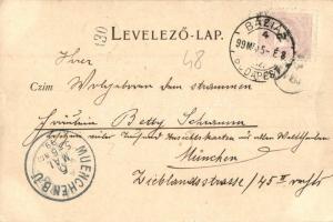 1899 Temesvár, Timisoara; Gyárváros, zárda. Králicsek Béla kiadása / nunnery (EK)