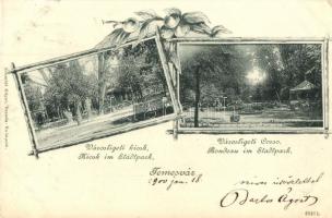 Temesvár, Timisoara; Városligeti kioszk és korzó. Schmidt Edgar kiadása / Kiosk und Rondeau im Stadtpark / corso, kiosk, park. floral Art Nouveau (EK)