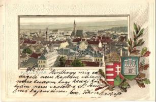 Kolozsvár, Cluj; látkép, címeres litho kerettel. Boskovitz Lajos kiadása / general view, coat of arms. Art Nouveau litho frame (Rb)