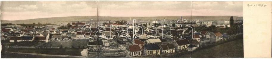 Kassa, Kosice; látkép fűrészteleppel. Divald Károly 757. 3-részes panorámalap/ panorama view with saw mill, 3-tiled panoramacard (Rb)
