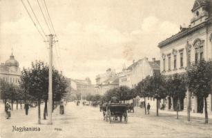 Nagykanizsa, Fő tér, lovashintó