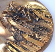 1987. "MVM SC (Magyar Villamos Művek Sport Club)" Br plakett, eredeti tokban (~88mm) T:1-