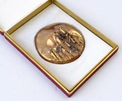 1987. "MVM SC (Magyar Villamos Művek Sport Club)" Br plakett, eredeti tokban (~88mm) T:1-