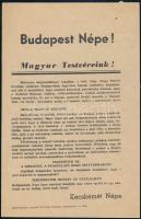 1956 Kecskemét, röplap a forradalom időszakából, 20,5x13 cm