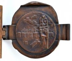 DN "Fővárosi Szabó Ervin Könyvtár 1904 / Legjavam adtam át a kornak - Benjámin László" Br ...