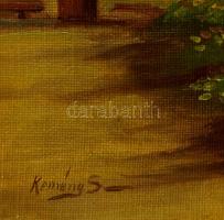 Kemény jelzéssel: Falusi házak. Olaj, vászon, kis lyukkal, 40×50 cm