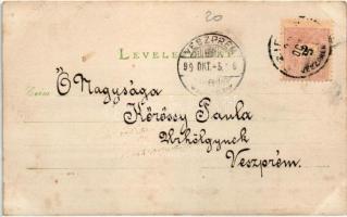 1899 Selmecbánya, Banská Stiavnica; kirándulók a Szitnya hegyen / hikers on the Sitno mountain. phot...