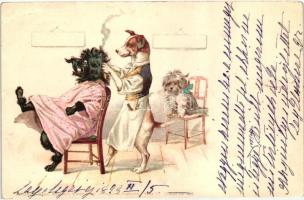 1899 Dog hairdresser. Theo. Stroefers Kunstverlag Aquarell-Postkarte Serie V. (Tiere) No. 638. litho (EK)