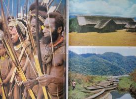 Balázs Dénes: Pápua Új Guinea. Bp., 1976, Gondolat. Kiadói kartonált papírkötés, a borítón kis kopás...