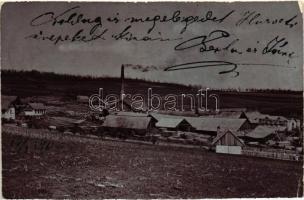 1906 Szászrégen, Reghin; fűrésztelep, Heiter fényképész felvétele / saw mill, photo