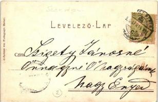 1906 Szászrégen, Reghin; fűrésztelep, Heiter fényképész felvétele / saw mill, photo