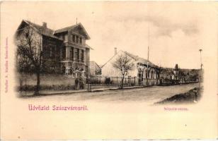 Szászváros, Broos, Orastie; Sétatér utca / promenade street (EK)