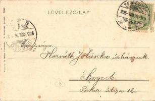 1905 Temesvár, Timisoara; Első takarékpénztár, Wolf József és Biermann üzlete, Sörház és étterem, Sc...
