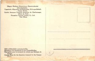 Tatabánya, Magyar Általános Kőszénbánya Rt. tatai bányászata, sikló a kőbányából a cementgyárba, ipa...