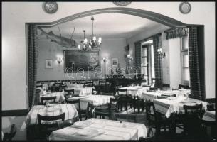 Paks - 5 db modern képeslap / 5 modern postcards