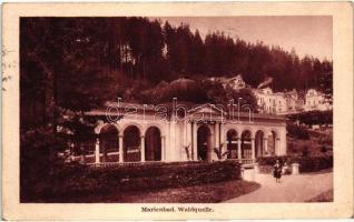 Marianske Lazne, Marienbad; Waldquelle / spring (EK)