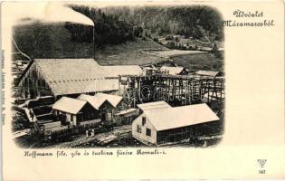 Romoly, Romuli (Máramaros); Hoffmann-féle turbina és gőzfűrész telep. Kaufmann Ábrahám kiadása / sawmill