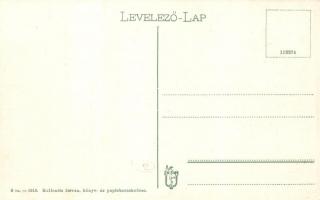 Nagyszentmiklós, Sannicolau Mare; Aranka belvíz-ármentesítő társulat. Kollonits István kiadása / flo...