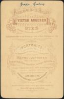 Paula von Klinkosch (1851-1901), Széchényi Gyula felesége, keményhátú fotó, Victor Angerer bécsi műt...