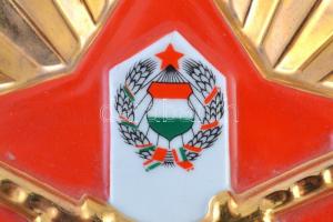 ~1970. "BM Határőrség" jelzett hollóházi porcelán plakett (151x158mm) T:2