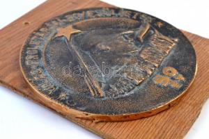 Olcsai Kiss Zoltán (1895-1981) DN "Világ proletárjai egyesüljetek - 50 év" aranyozott Br p...