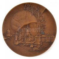 1968. "Városunkért 1718-1968 / Békéscsaba" Br emlékérem tokban (50mm) T:1-,2