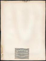 cca 1920 Angelo (Funk Pál) (1894-1974) aláírt vintage fotóművészeti alkotása, kartonra kasírozva, fa...