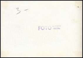 1947 Dinnyés Lajos miniszterelnök katonai kísérettel a Szabadság téren Alberty Antal jelzett fotója ...