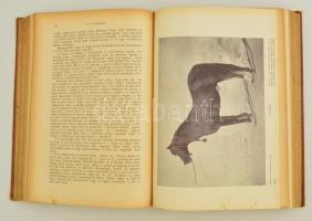 Kovácsy Béla - Monostori Károly A ló és tenyésztése. 600 képpel, 14 műmelléklettel és 1 színes lóten...