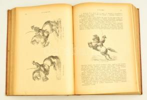 Kovácsy Béla - Monostori Károly A ló és tenyésztése. 600 képpel, 14 műmelléklettel és 1 színes lóten...