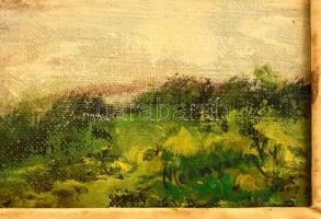 Mednyánszky jelzéssel: Folyó torkolat. Olaj, vászon, foltos, keretben, 17×23 cm