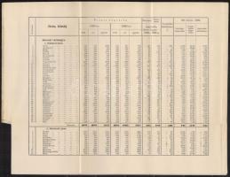 cca 1930 Borsod vármegye népessége 1920-1930 között, statisztikai összesítés, könyvmelléklet