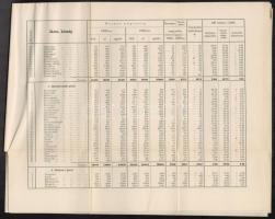 cca 1930 Borsod vármegye népessége 1920-1930 között, statisztikai összesítés, könyvmelléklet