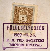 1909 Királyi Magyar Tudományegyetem jogi diplomája, függőpecséttel, 51x66 cm