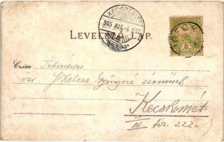 Siófok, Sió és Hullám szálloda