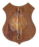 ~1960-1980. "Földvári Mihály Általános Gimnázium Tolna" zománcozott jelvény (23mm) T:2